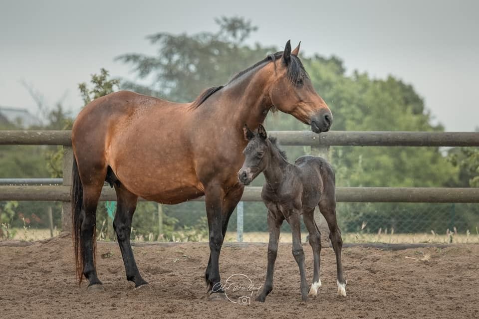 blockValue.279c8836-97aa-459e-b93c-04cba8141e1e.img3_alt