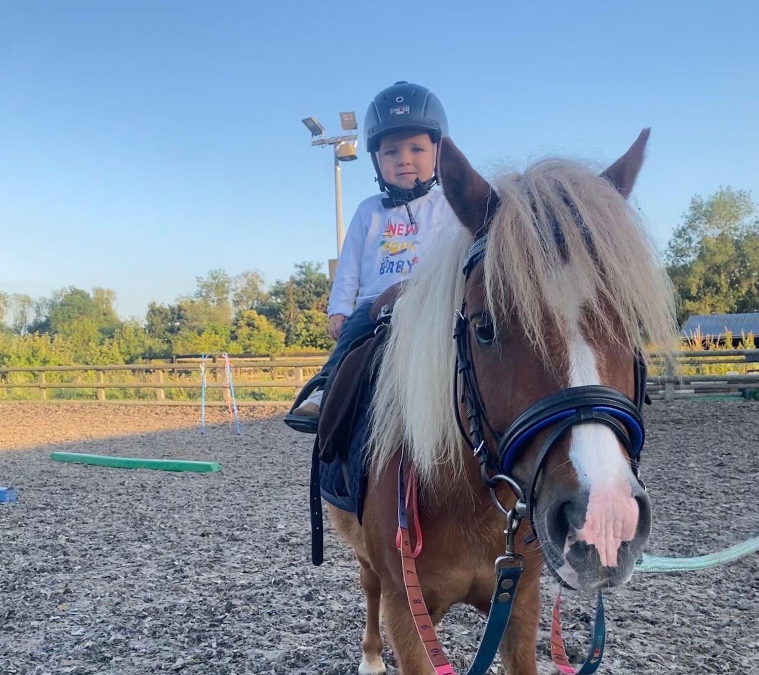 Image de Découverte du  poney pour enfants de 3 à 6 ans