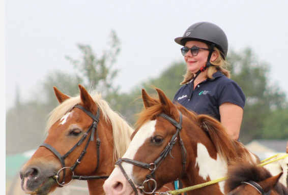 Image de SÉANCE REPRISE DE L'ÉQUITATION OU MONTE OCCASIONNELLE POUR ADULTES GALOP 3 À 7