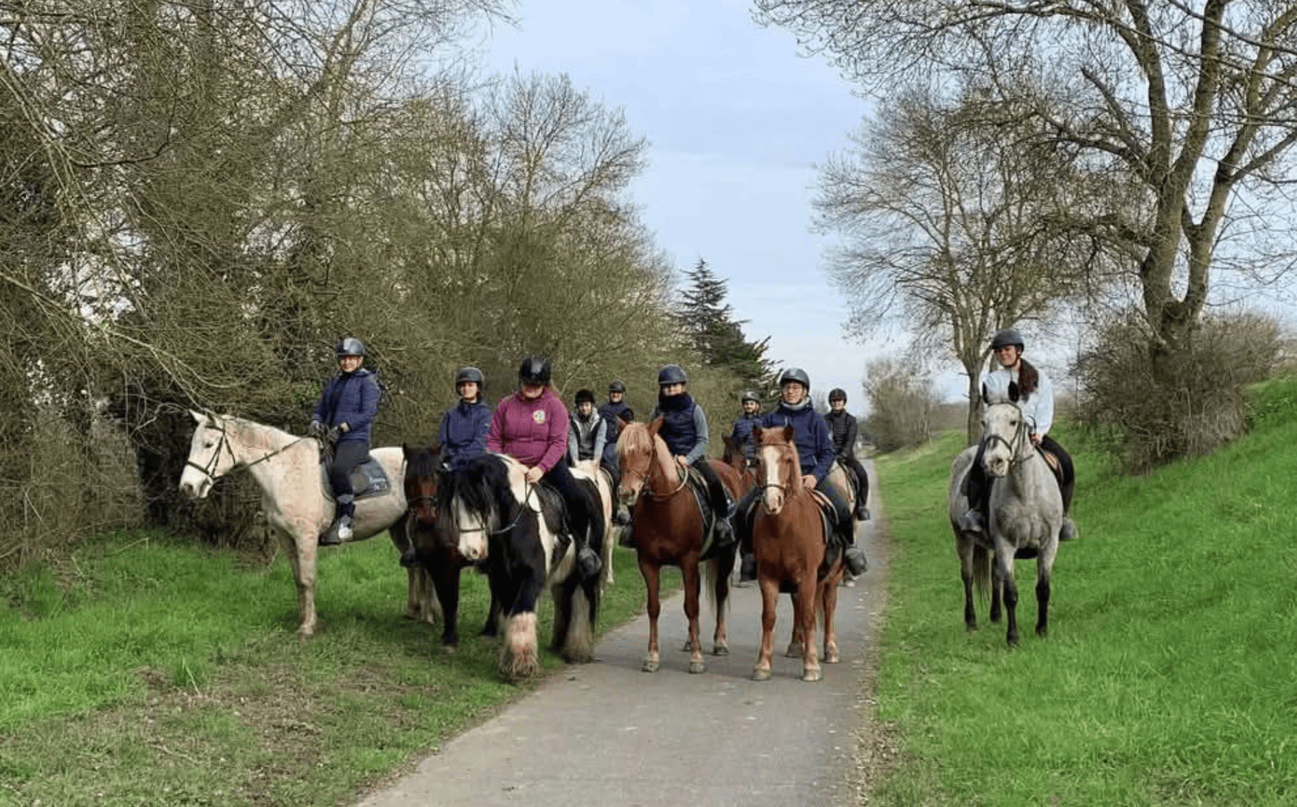 Image de DÉCOUVERTE OU REPRISE DE L'ÉQUITATION POUR PERSONNES JAMAIS MONTÉE OU PAS MONTÉE DEPUIS LONGTEMPS NIVEAU GALOP 1 ET 2