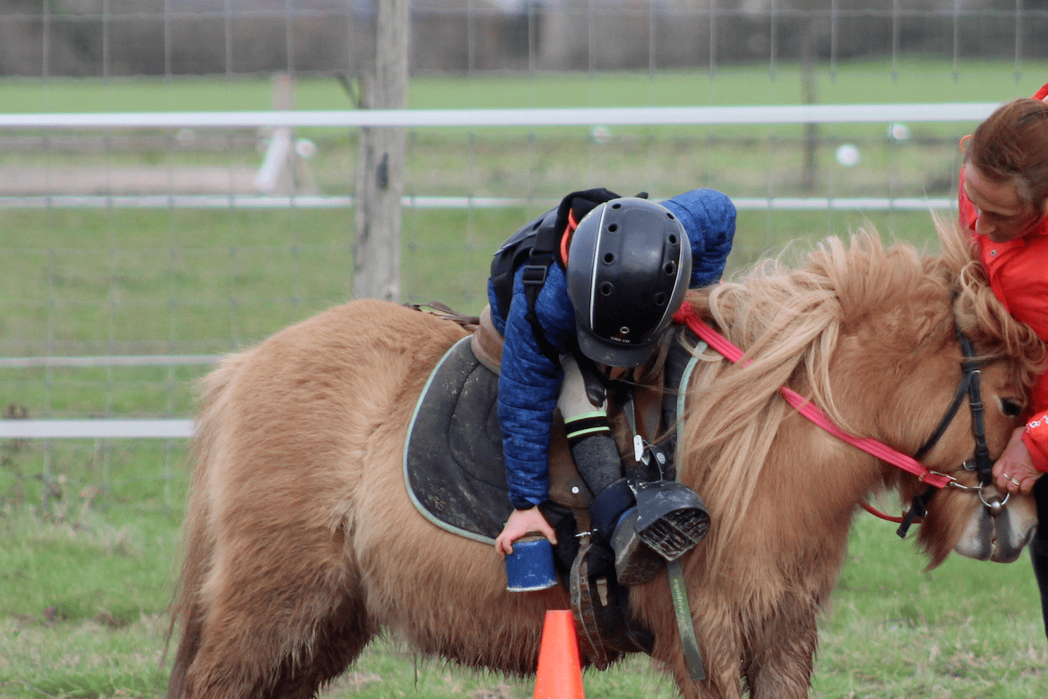 Image de Découverte du  poney pour enfants de 3 à 6 ans