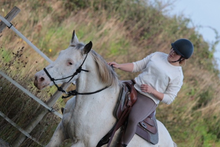 Image de STAGE EQUITATION ETHOLOGIQUE