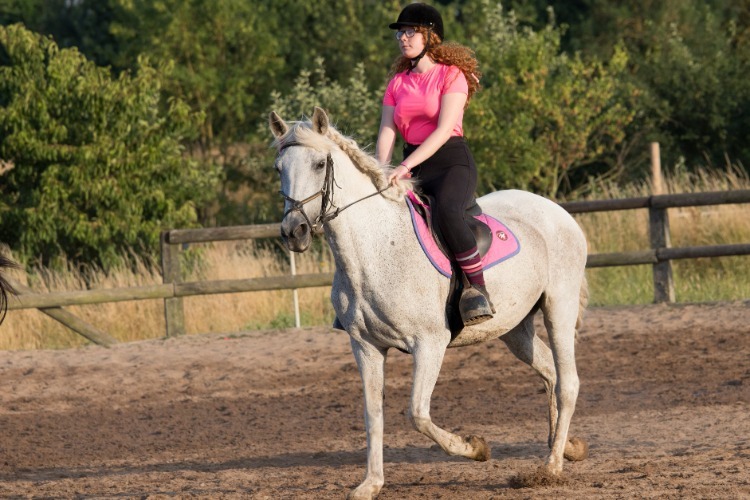 Image de STAGE ADULTE