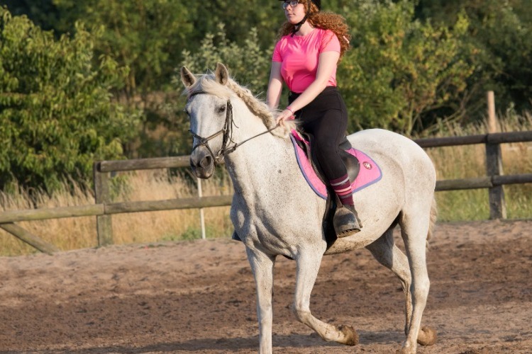 Image de Stage Adultes