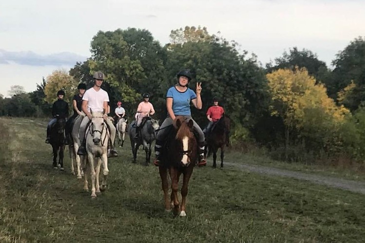 Image de Mardi 5 juillet : une journée de stage "détente" pour les cavaliers niveau 2 à 4 