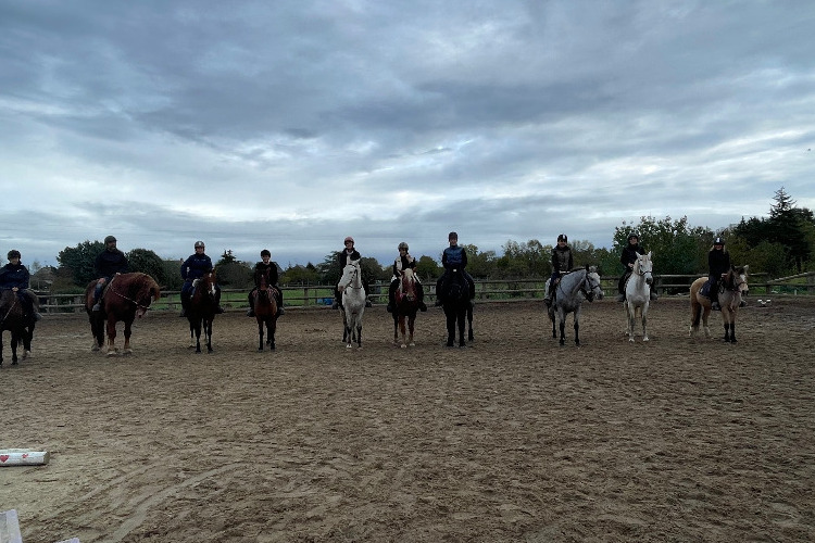 Image de stage pour cavaliers adultes jamais montés. de 13 ans à 70 ans....