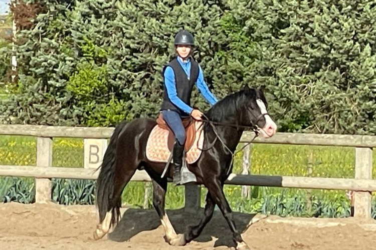 Image de stages été 2024